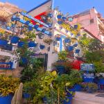 images/varosok/Alicante_diohejban/Alicanterol diohejban 9.jpg